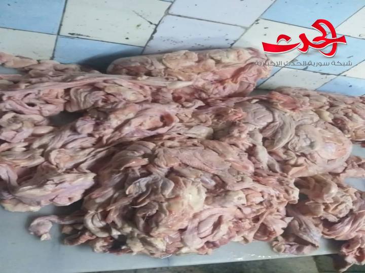 ضبط أسماك فاسدة وجلود لإعداد معجنات الصفيحة في دمشق