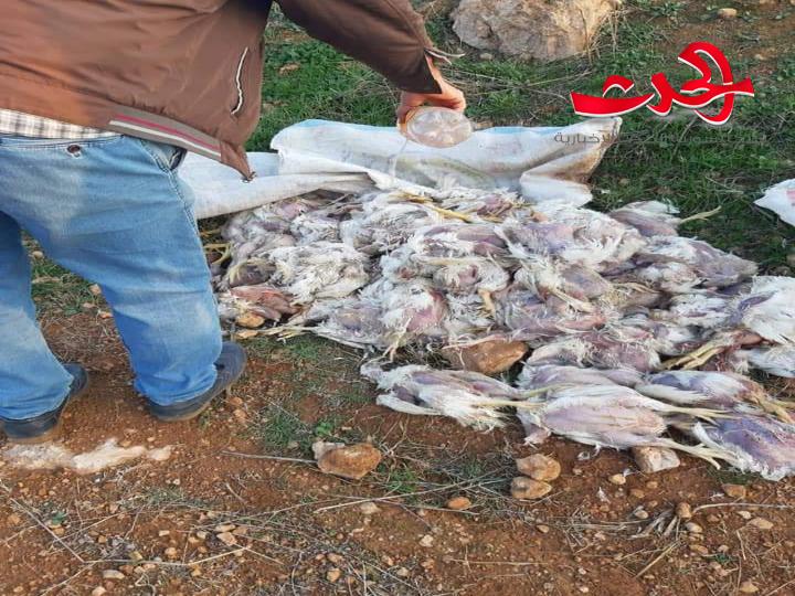 عناصر الرقابة بحماة ينظمون 50 ضبطا لمخالفات غش ومحطات وقود ومخابز