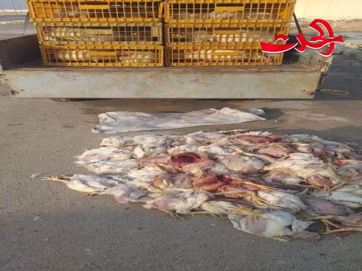 عناصر الرقابة بحماة ينظمون 50 ضبطا لمخالفات غش ومحطات وقود ومخابز