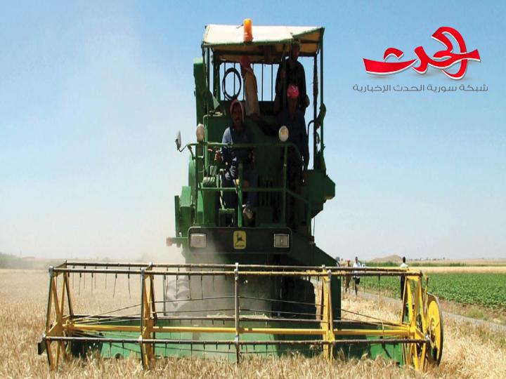 الحكومة تدعم القطاع الزراعي بـ 60% من المازوت.. رئيس اتحاد الفلاحين من المبكر تأمين مازوت الري