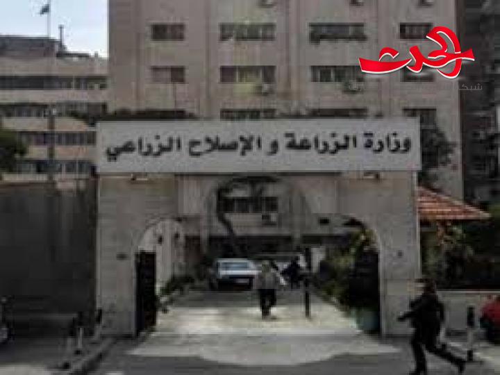 مدير الدواء البيطري في وزارة الزراعة: يستفيد من المرسوم 54 معملاً تنتج 75 بالمئة من حاجة السوق