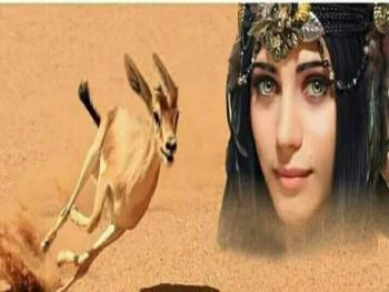في عزاء فكرة بقلم الشاعرة هناء الغنيمي