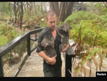 العواصف تخمد الحرائق شرق استراليا