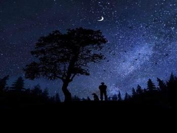 الطريق المزدحم بقلم الكاتبة نتالي دليلة