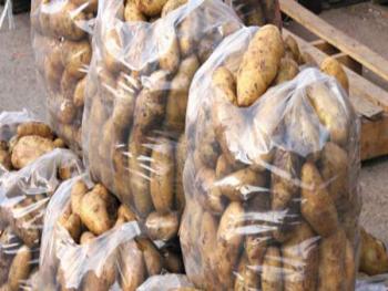 5 آلاف طن بطاطا مصرية في مرفأ طرطوس