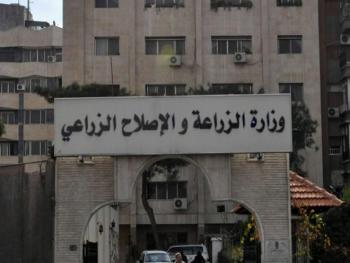 الزراعة: الحيوانات الأليفة لاتنشر فيروس كورونا
