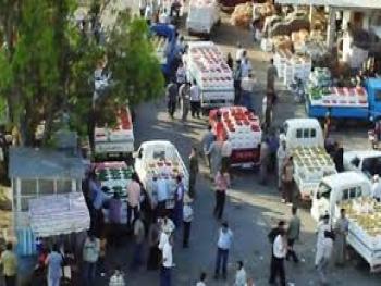 في سوق الهال.. من هو الذي يفرض الاسعار وما دور التموين فيه؟