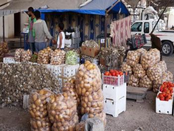 زيادة في كميات التصدير.. عبد الرحيم رحال: التصدير لا يؤثر في أسعار  المنتجات الزراعية