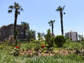 بالصور.. ساحة الميسات تنهي أعمال التأهيل والتجميل 