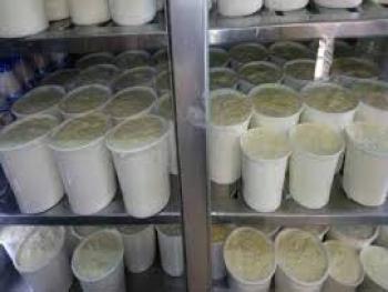 اسعار الحليب في القنيطرة ترتفع.. والسبب الاعلاف؟