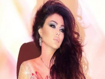 ما هي الاوراق المقدمة في جلسات اثبات زواج محمد وزيري وهيفاء وهبي