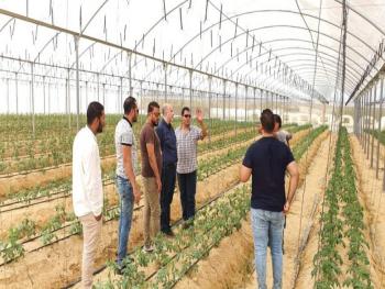 خبير زراعي: سقاية الأرض وتطعيم الأشجار لتنتج خلال عام