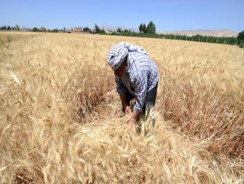 عرنوس: الرغيف خط أحمر ولن يمس إلا في الحدود البسيطة