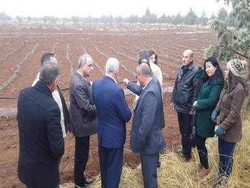 يوم لنتائج إكثار الزعفران في مركز بحوث السويداء...وتكريم فريق العمل
