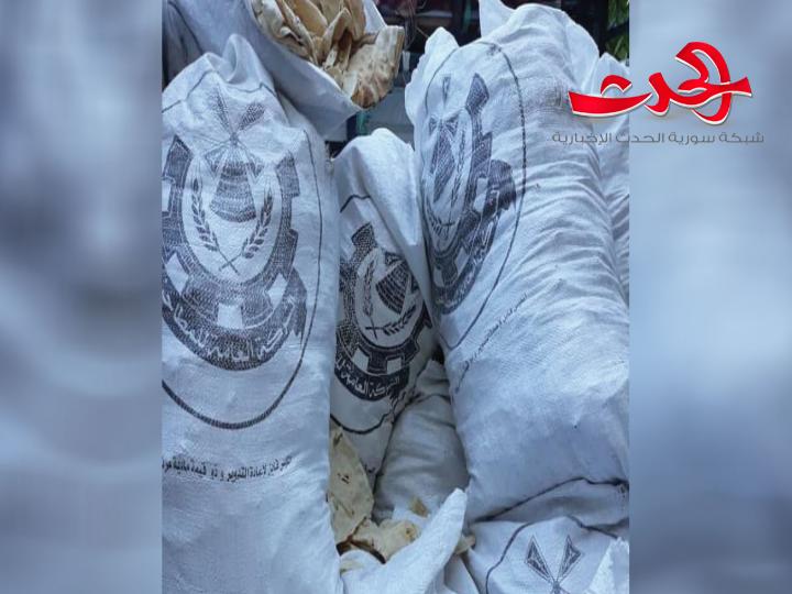مدير فرع المخابز في السويداء: المعتمدون وراء ظاهرة الخبز العلفي