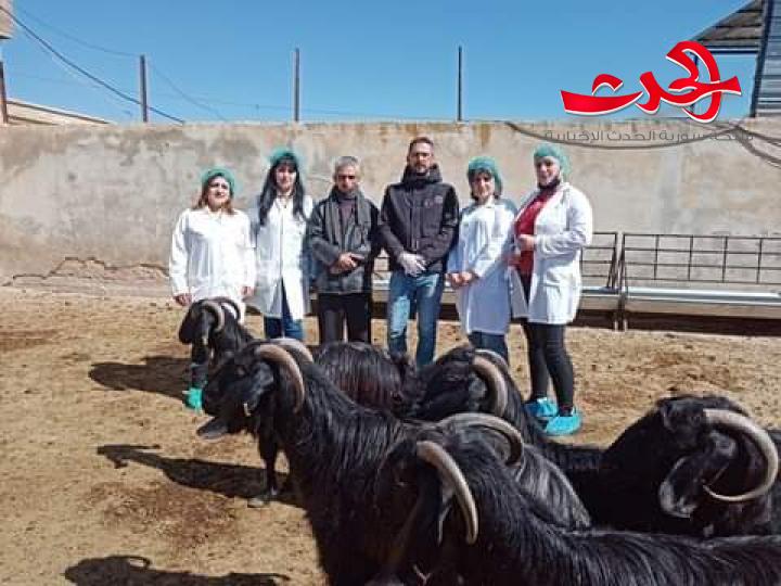 بعد عقدين بحث علمي يرى النور بمحطة بحوث عرى بالسويداء