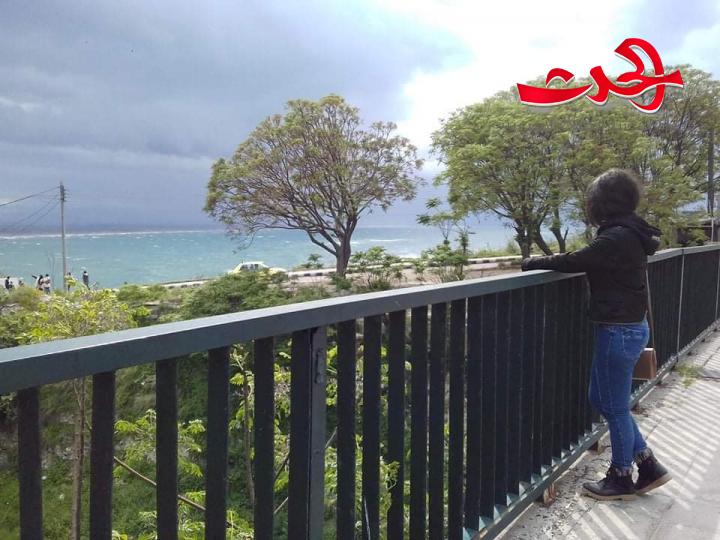 نبض الوداع بقلم مرح وائل محفوض