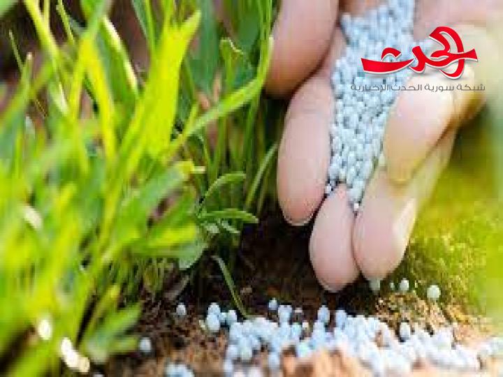 اتحاد الفلاحين: وقف دعم الأسمدة سينعكس على المواطن ؟