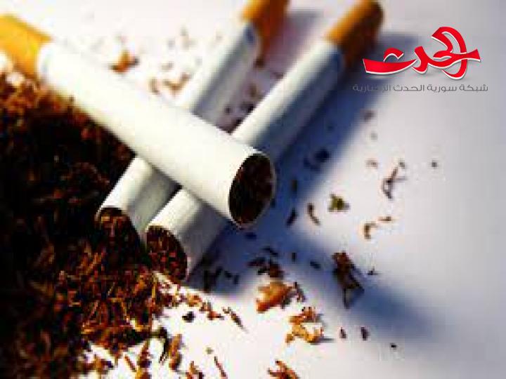 تحديد أسعار شراء التبغ من الفلاحين لموسم 2021-2022