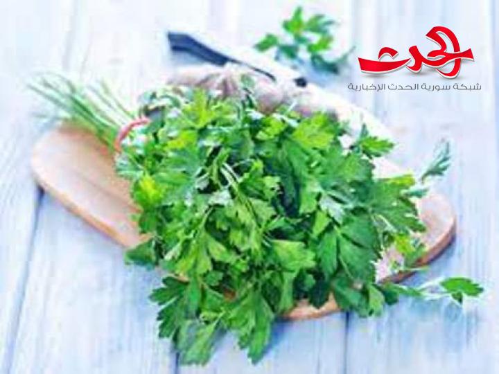البقدونس.. كنز من الفوائد