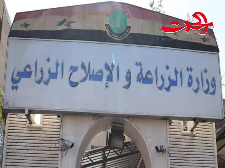 بنسبة نجاح 47.48 % .. وزارة الزراعة تصدر نتائج الثانوية المهنية الزراعية باختصاصاتها الثلاثة