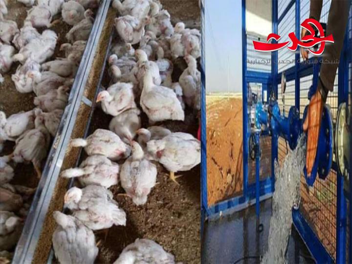 في درعا : أولوية توزيع المازوت للمداجن والآبار المرخصة 
