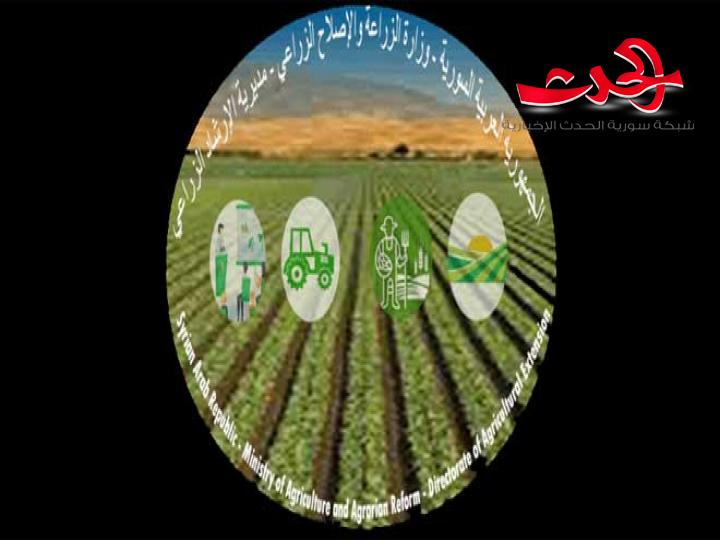 إطلاق موقعاً إلكترونياً للتواصل مع الفلاحين