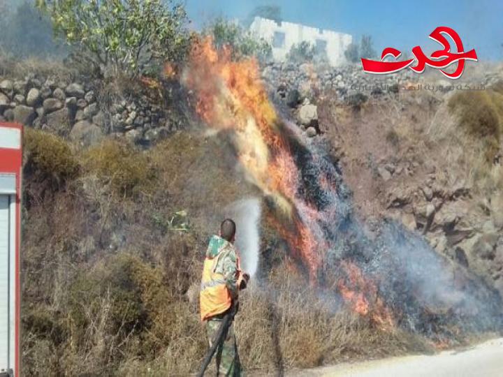 في ريف حمص الغربي : اندلاع حريق كبير  بأشجار  زيتون في أراضي الجوانيات.