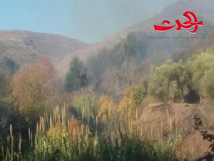 في ريف حمص الغربي : اندلاع حريق كبير  بأشجار  زيتون في أراضي الجوانيات.