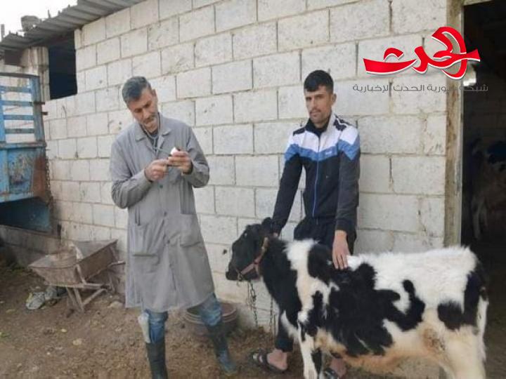 في القنيطرة : 217 مستفيداً من الحملة البيطرية المجانية لتشخيص ومعالجة الثروة الحيوانية .