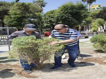 جامعة دمشق تعود لنشر جمالها العلمي بإزالة عوامل التخلف