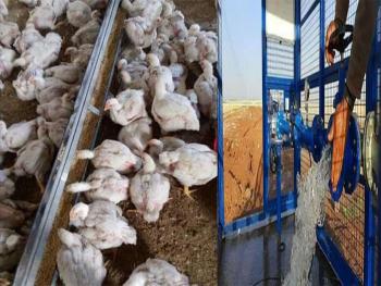 في درعا : أولوية توزيع المازوت للمداجن والآبار المرخصة 