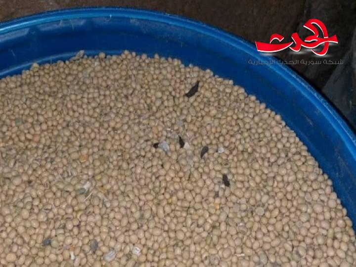 في اللاذقية : حبوب تنحيف بفضلات القوارض!!