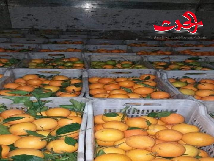 خلاف بين فرعي السورية للتجارة بطرطوس ودمشق..والسبب؟!