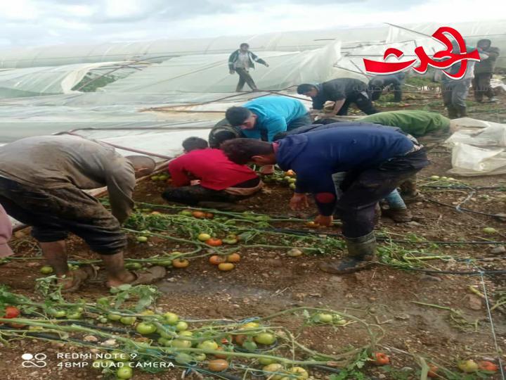 تنين بحري يضرب سهل عكار بريف طرطوس  ويوقع خسائر كبيرة