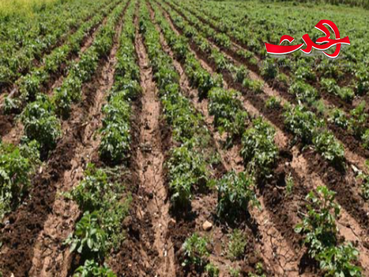 ضرورة تطبيق مشروع البطاقة الإلكترونية للفلاحين والمستثمرين الزراعيين