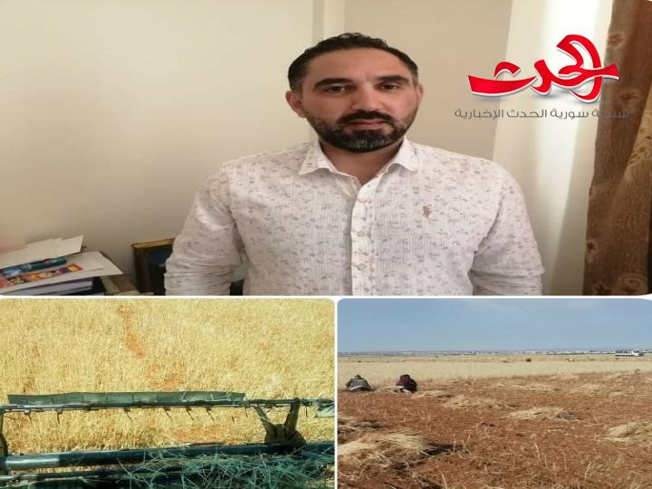 بدء عمليات حصاد موسم القمح بدرعا وموسم مبشر