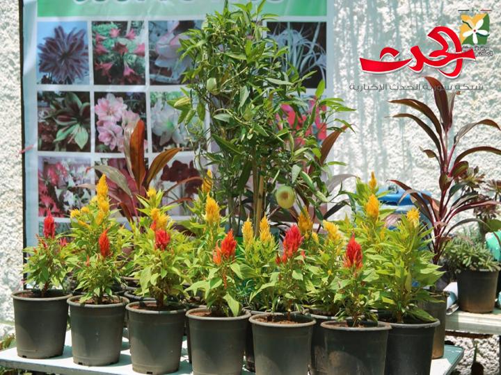 وزيران ومحافظة يفتتحان معرض الزهور الدولي في حديقة تشرين بدمشق