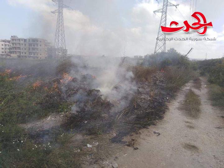 في اللاذقية: عشرة حرائق حصيلة نهاية الأسبوع
