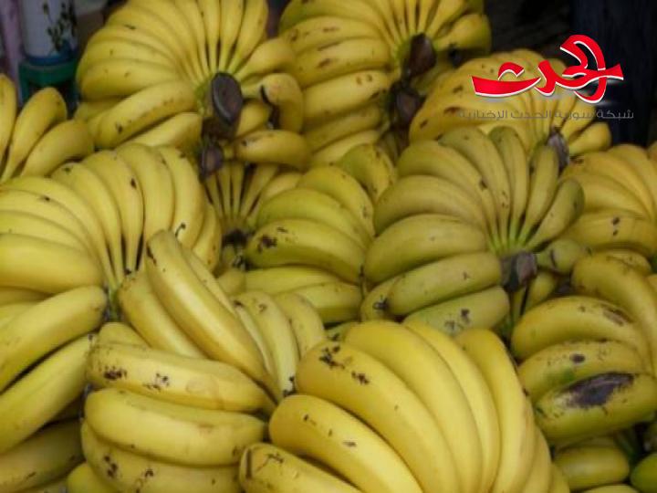 اللجنة الاقتصادية : توافق على استيراد 50 ألف طن من الموز اللبناني