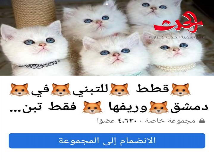 المتاجرة بالأرواح في سوق الدنيا