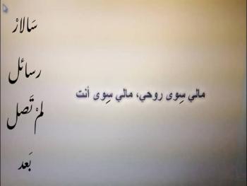 تصطفّ الحروف لاستقبال__رسائل لم تصل بعد / سالار / بقلم هبة أحمد إبراهيم__