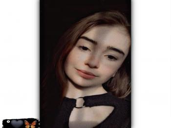 من وِيل إلى ستيلا.. بقلم شهد خنيسة