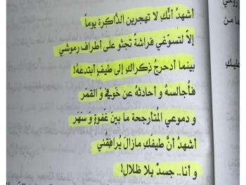 ميرينا لا ترى الضوء .. أشهد أنك لا تهجرين الذاكرة .. أشهد أنك قاتلي ..