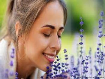 ضعف حاسة الشم يفقد الإدراك العاطفي!