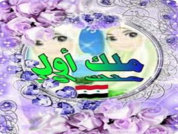 قراءة تحليلية بقلم الأستاذة ملك أول لرائعة الأديب الدكتور عقيل درويش ( على سفح النهد)