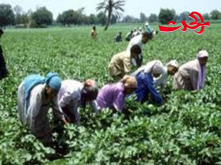 بذرة صغيرة يمكن أن تكوّن غابة