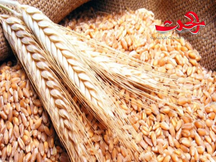 افتتاح مركز ثان بدرعا لاستلام محصول الشعير من الفلاحين 