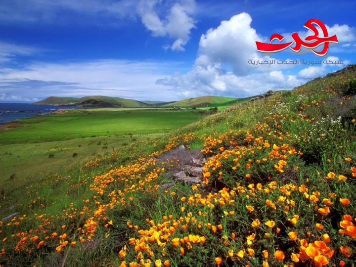 الحرارة معتدلة وأجواء سديمية في بعض المناطق 