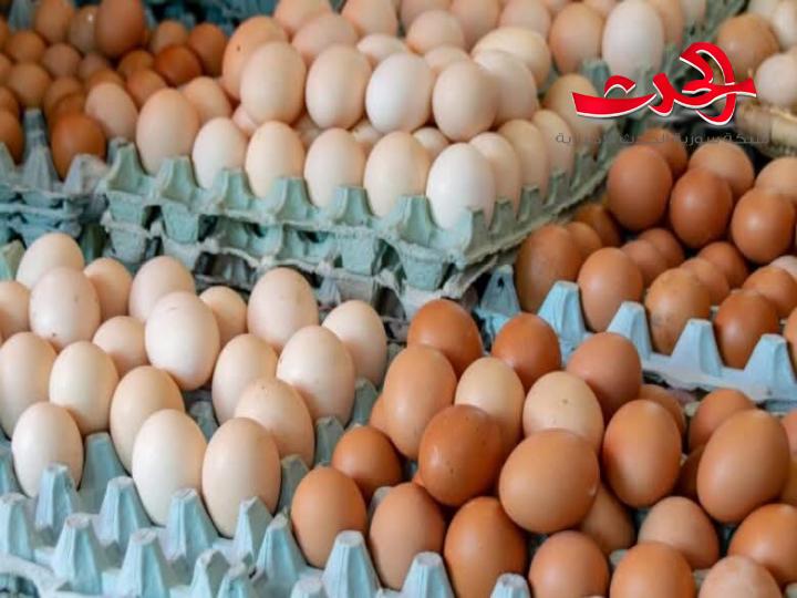 أسعار البيض تواصل انخفاضها بأسواق حماة